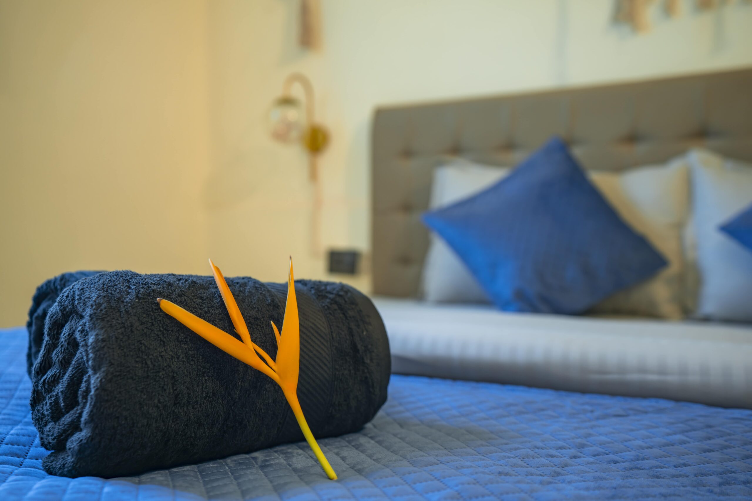 Private Deluxe Double Room | Shalom Backpackers Goa Hostel