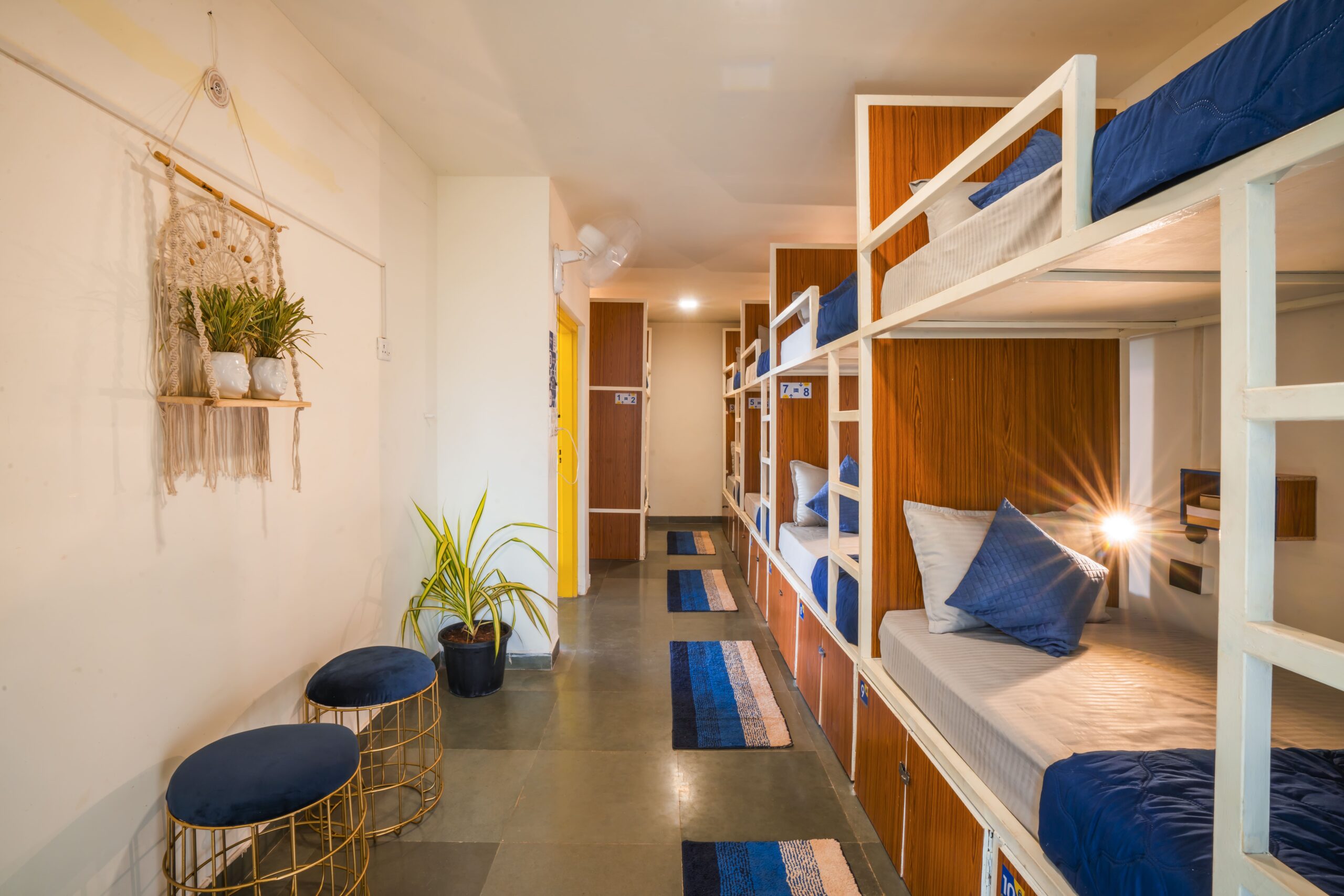 10-Bed Mixed Dorm in Goa | Budget Stay at Shalom Backpackers Hostel