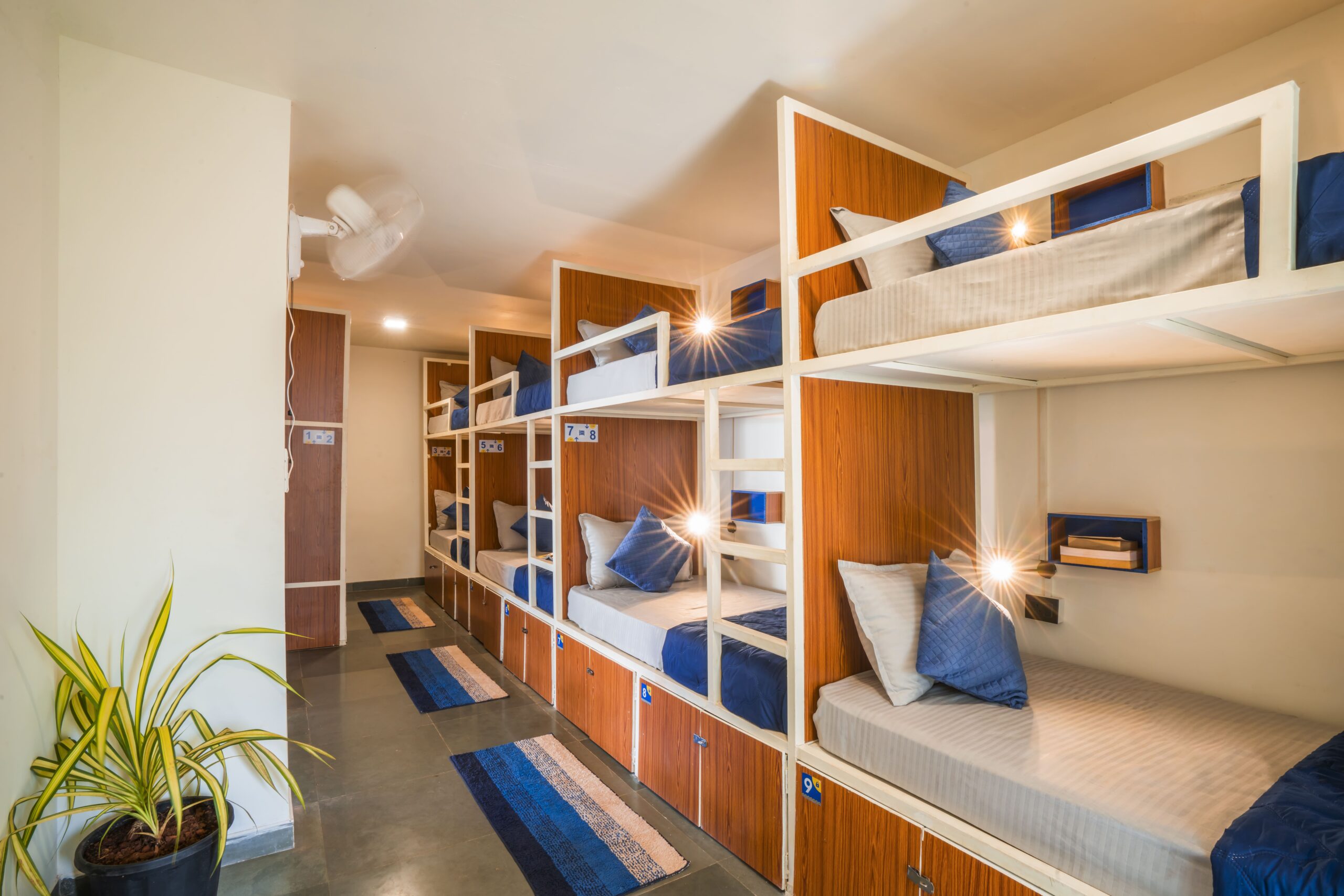 10-Bed Mixed Dorm in Goa | Budget Stay at Shalom Backpackers Hostel